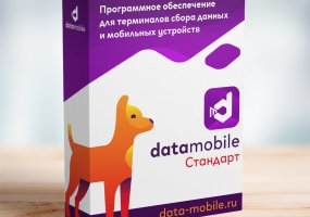 DataMobile Стандарт (1 мес.)