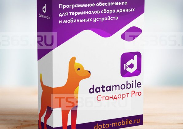 DataMobile Стандарт Pro (1 мес.)