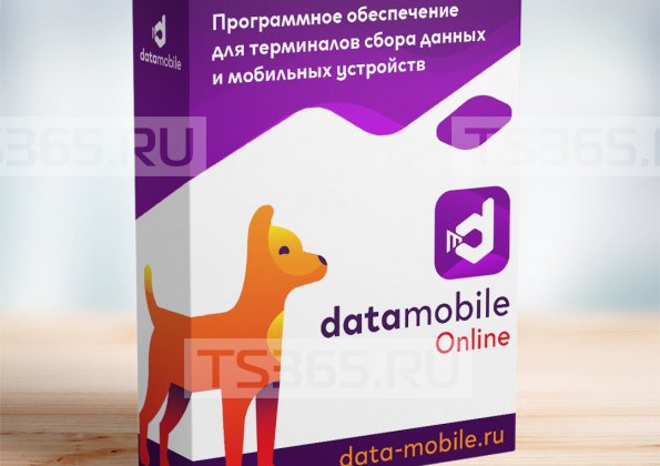DataMobile Online (1 мес.)