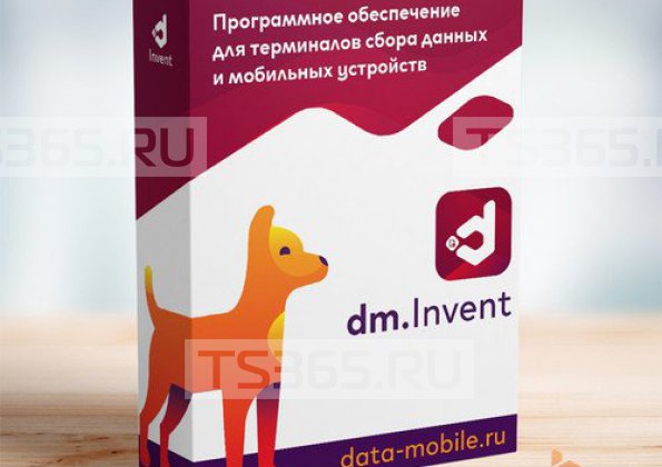 DM.Invent (1 мес.)