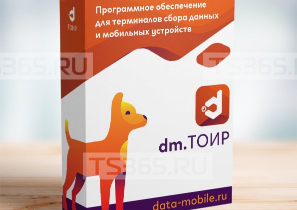 DM.ТОИР Основные средства (1 мес.)